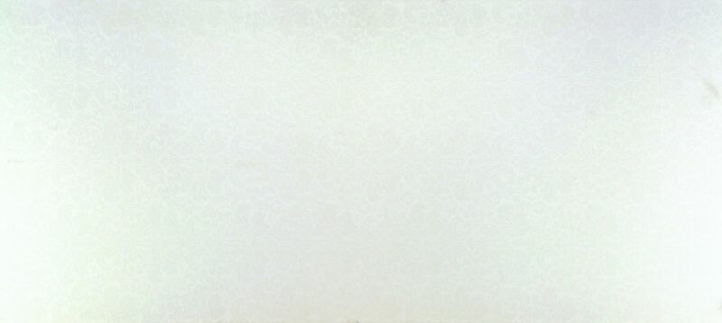 2141L 白蕾絲 Lace