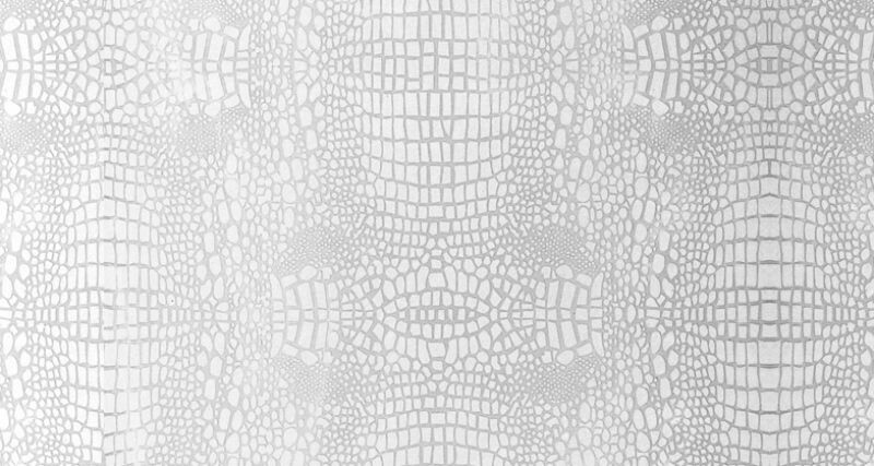 2141C 白鱷魚 White Crocodile