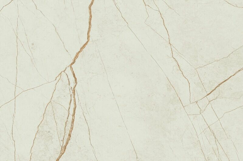 508 Isobellia（新品籌備中）