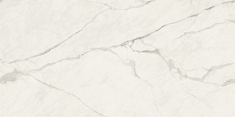 503 White Ciment（新品籌備中）