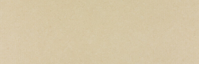  546 金沙海貝 Thalassa