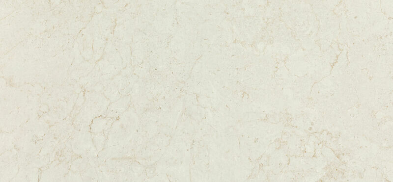 545 月影清輝 Fossilia